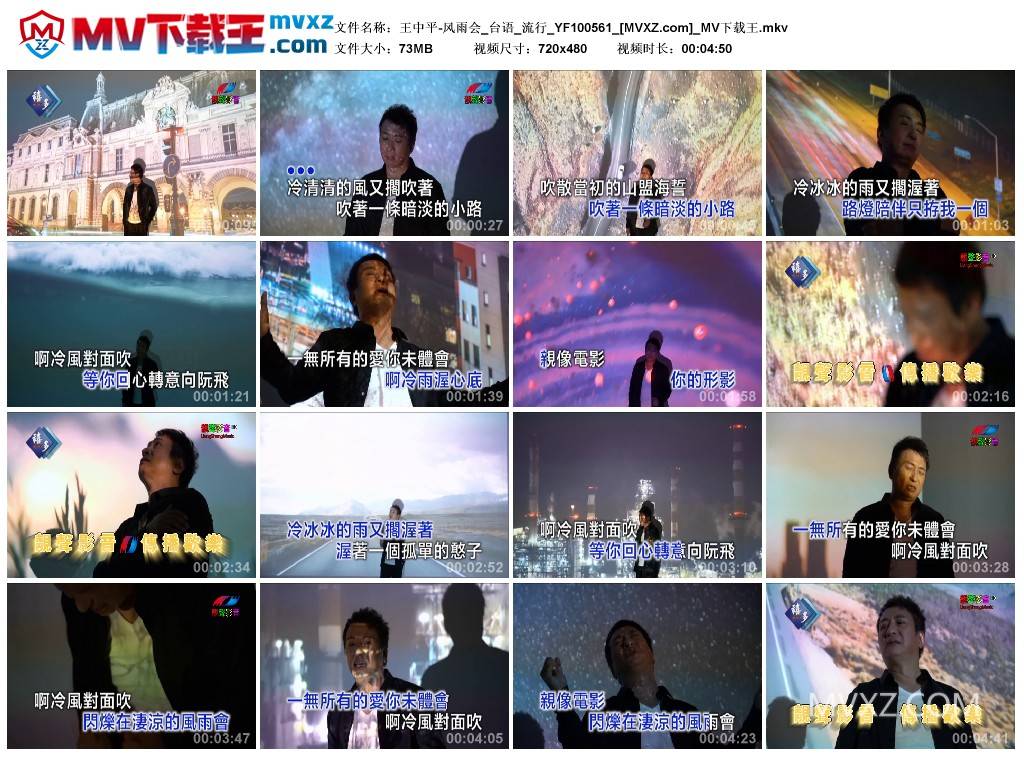 王中平-风雨会_台语_流行_YF100561